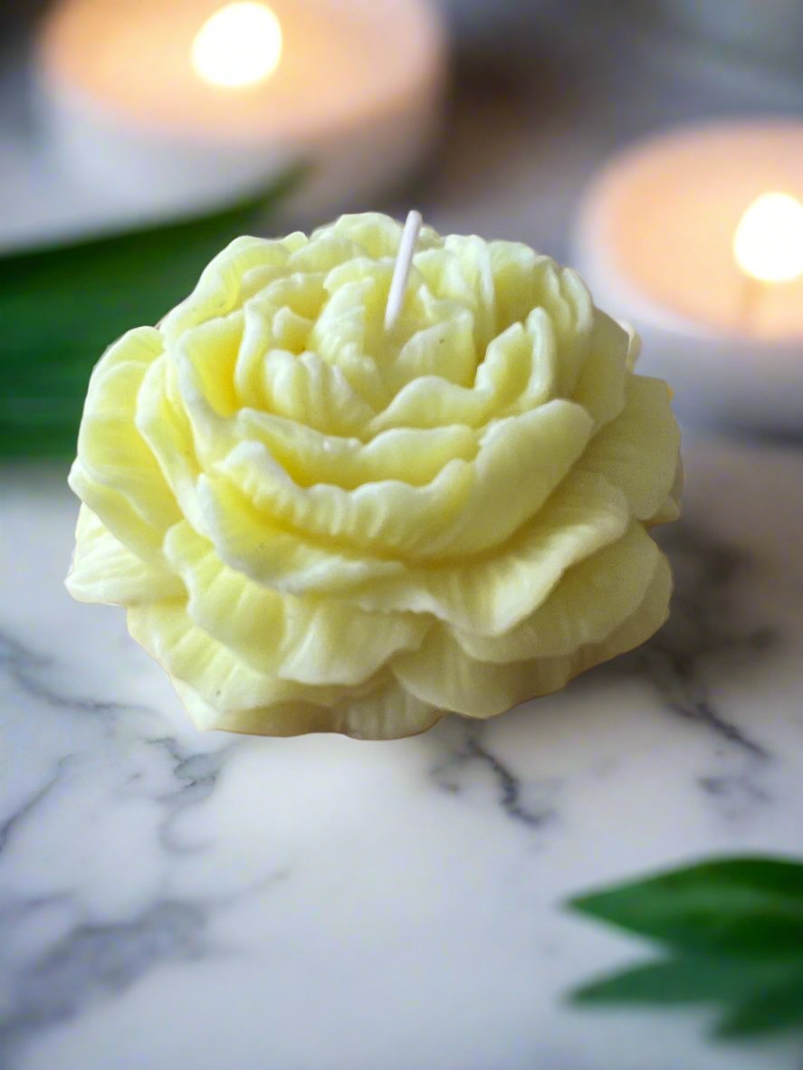 Floral Wax Melts-Blooming with Fragrance