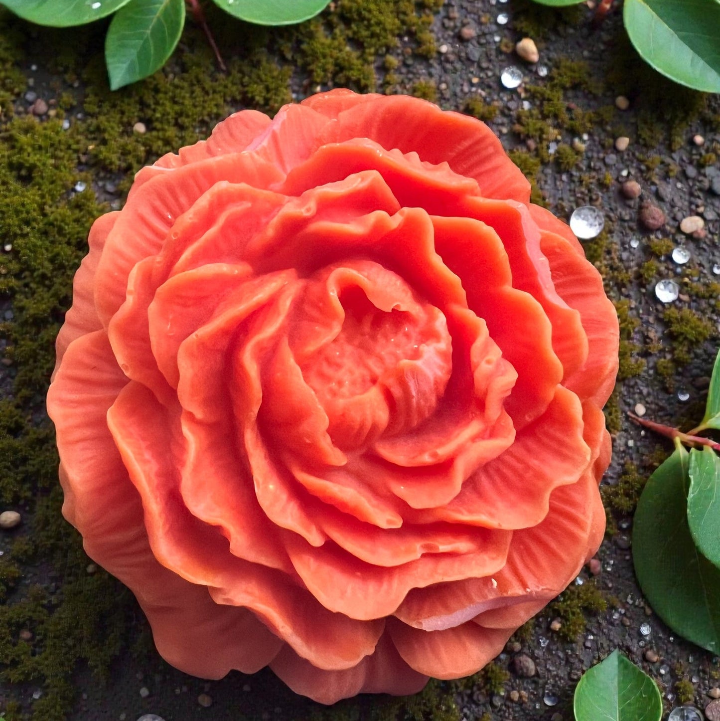 Floral Reverie Wax Melts — Blooming, Elegant & Long-Lasting